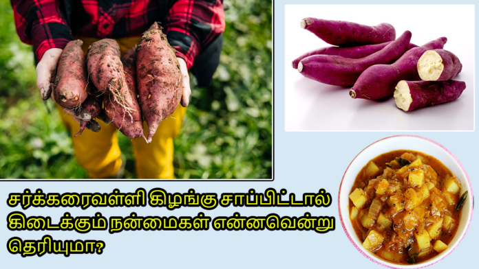 benifits of sweet potato in tamil