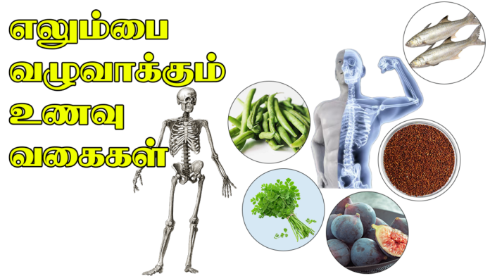 எலும்பை வலுவாக்கும் முக்கியமான உணவுகள்