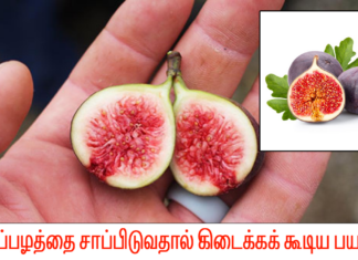 athipalam-benefits-in-tamil