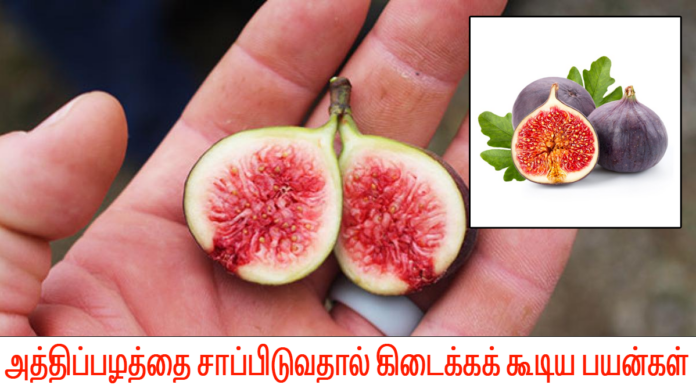 athipalam-benefits-in-tamil