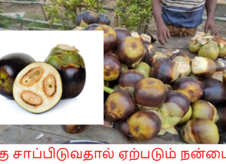 நுங்கு சாப்பிடுவதால் ஏற்படும் நன்மைகள்