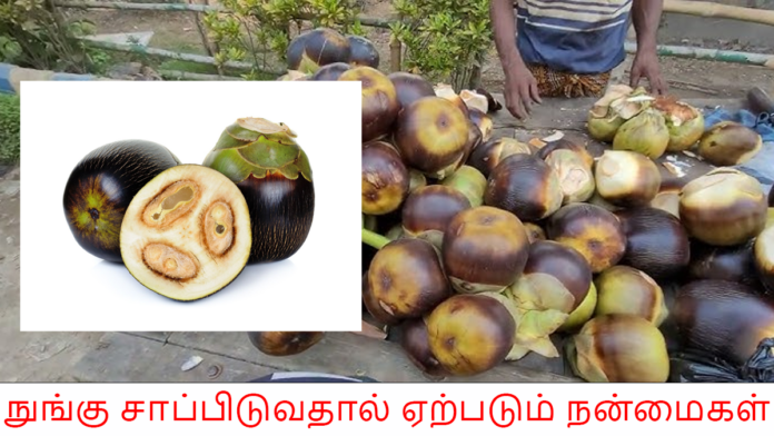 நுங்கு சாப்பிடுவதால் ஏற்படும் நன்மைகள்