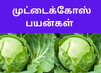 Muttaikose benefits in tamil