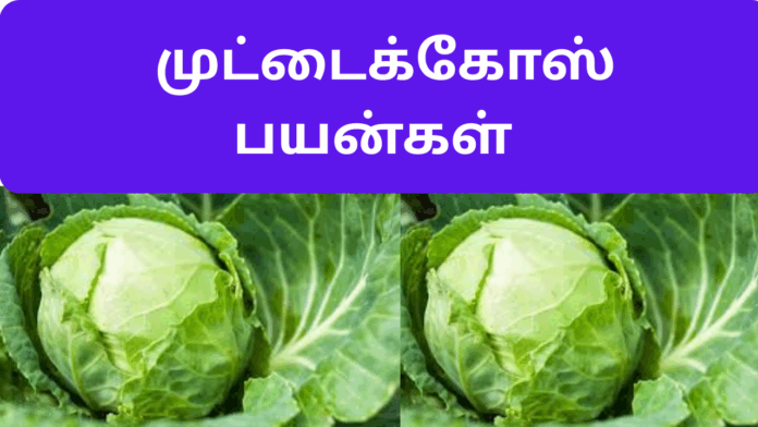 Muttaikose benefits in tamil