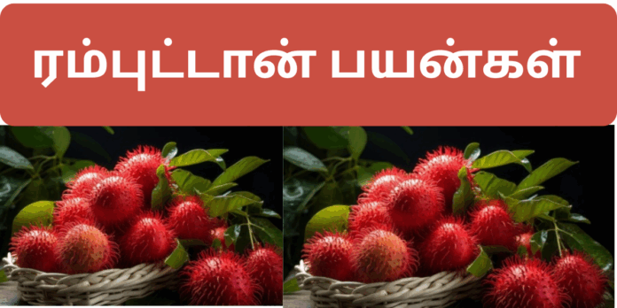 Rambutan benefits in tamil