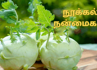 Nookal benefits in tamil