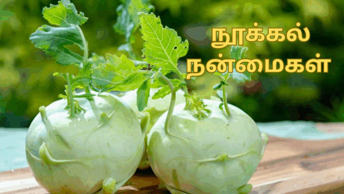 Nookal benefits in tamil
