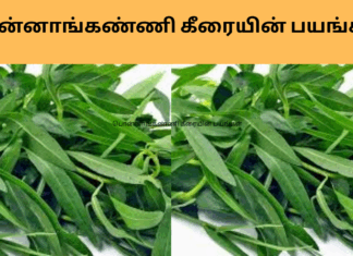 ponnaganni keerai benefits in tamil