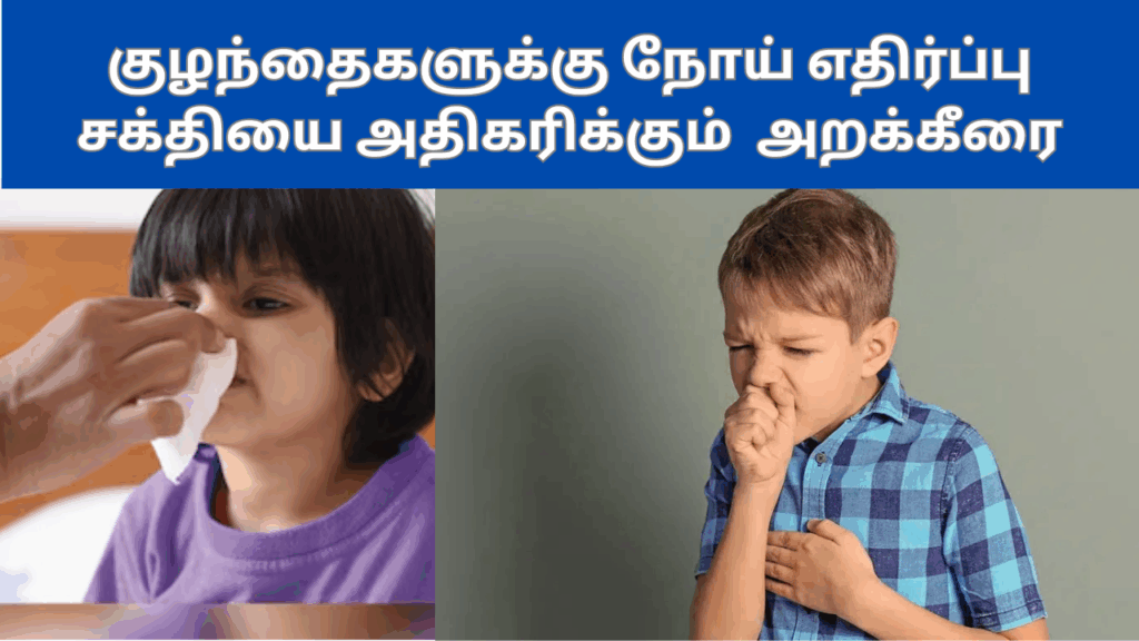 அரைக்கீரையின் பயன்கள் | Arai keerai benefits in tamil 1 Arai keerai benefits in tamil