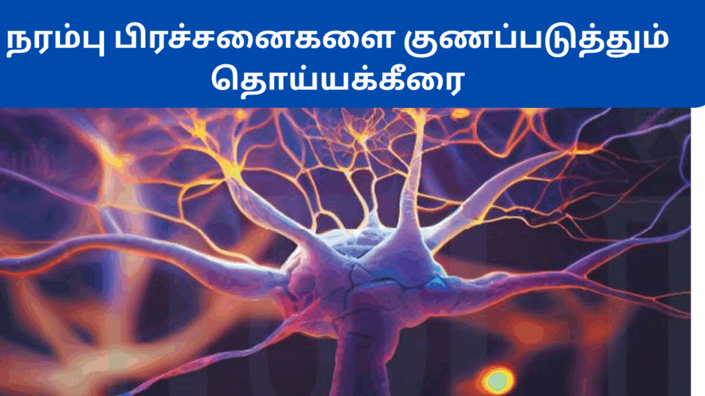 தொய்யா கீரையின் பயன்கள்|Thoiya keerai benefits in tamil 3 Thoiya keerai benefits in tamil