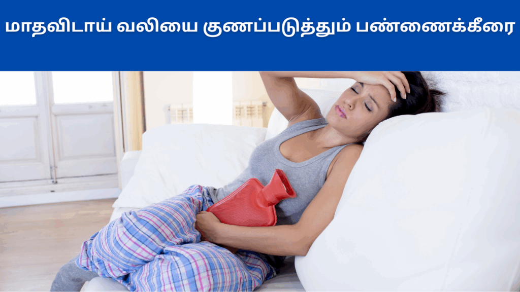 பண்ணை கீரையின் பயன்கள்| pannai keerai benefits in tamil 1 pannai keerai benefits in tamil