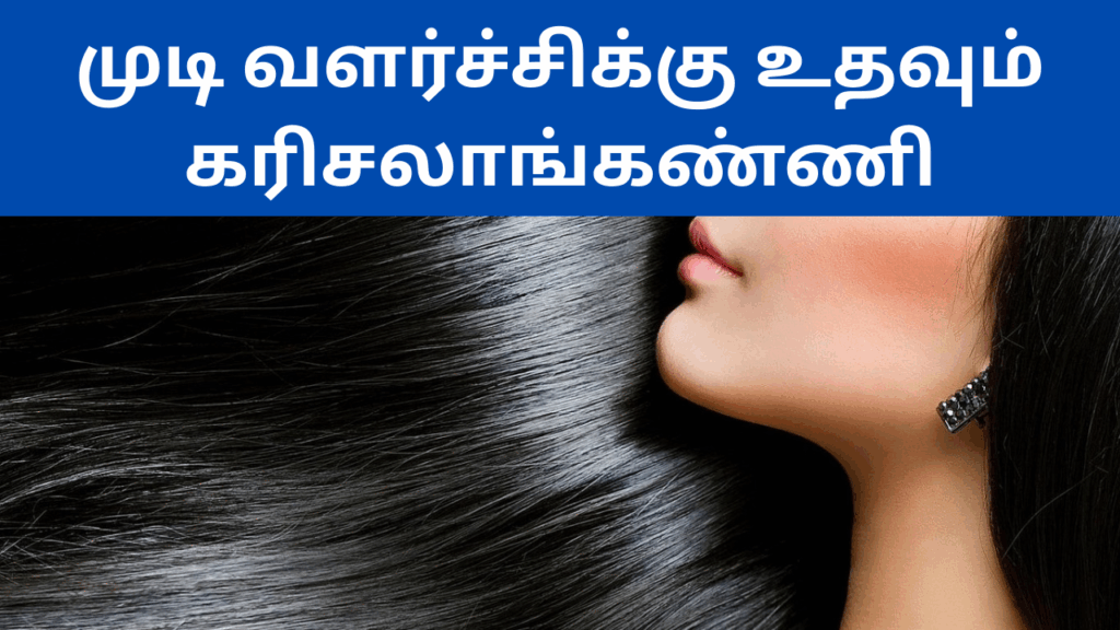 கரிசலாங்கண்ணி இலையின் பயன்கள் | Karisalankanni illaiyin benefits in tamil 1 2 5