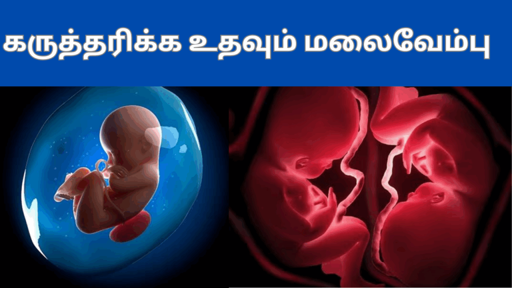 மலைவேம்பின் பயன்கள் | Malai vembu benefits in tamil 1 2 6