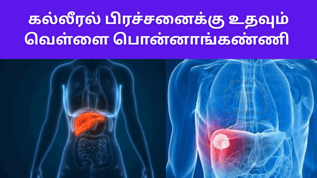 வெள்ளை பொன்னாங்கண்ணியின் பயன்கள் | Vellai ponnanganni benefits in tamil 2 Vellai ponnanganni benefits in tamil