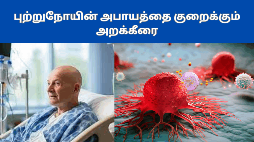 அரைக்கீரையின் பயன்கள் | Arai keerai benefits in tamil 3 Arai keerai benefits in tamil