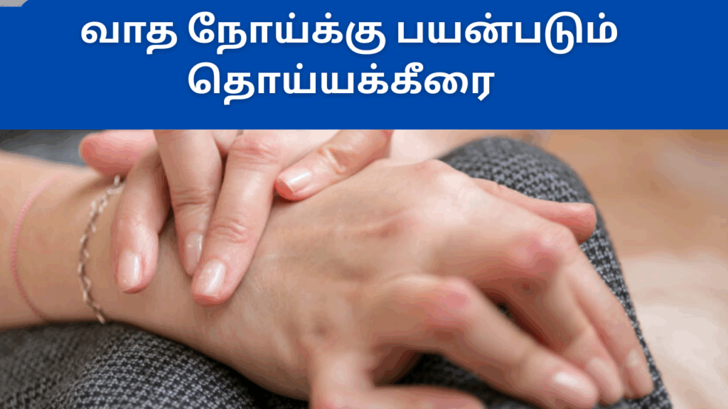 தொய்யா கீரையின் பயன்கள்|Thoiya keerai benefits in tamil 1 Thoiya keerai benefits in tamil