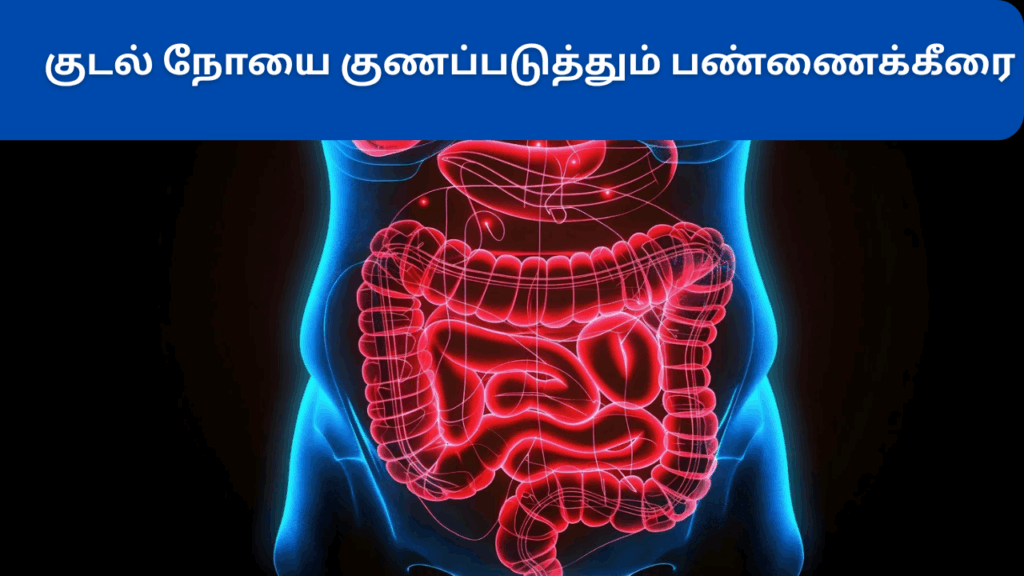 பண்ணை கீரையின் பயன்கள்| pannai keerai benefits in tamil 2 pannai keerai benefits in tamil