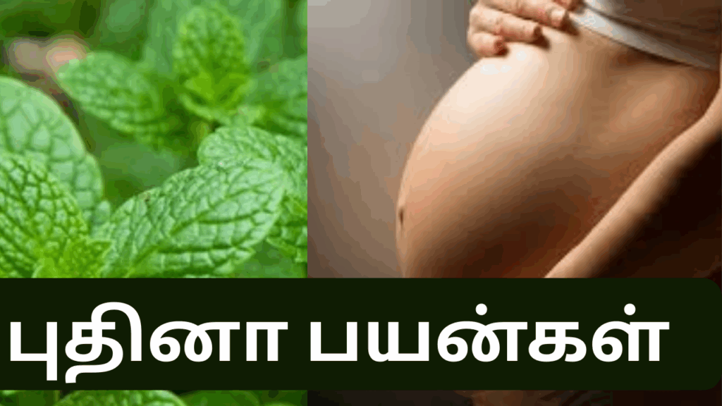 புதினாவின் நன்மைகள் | Puthina benefits in tamil 1 3 2