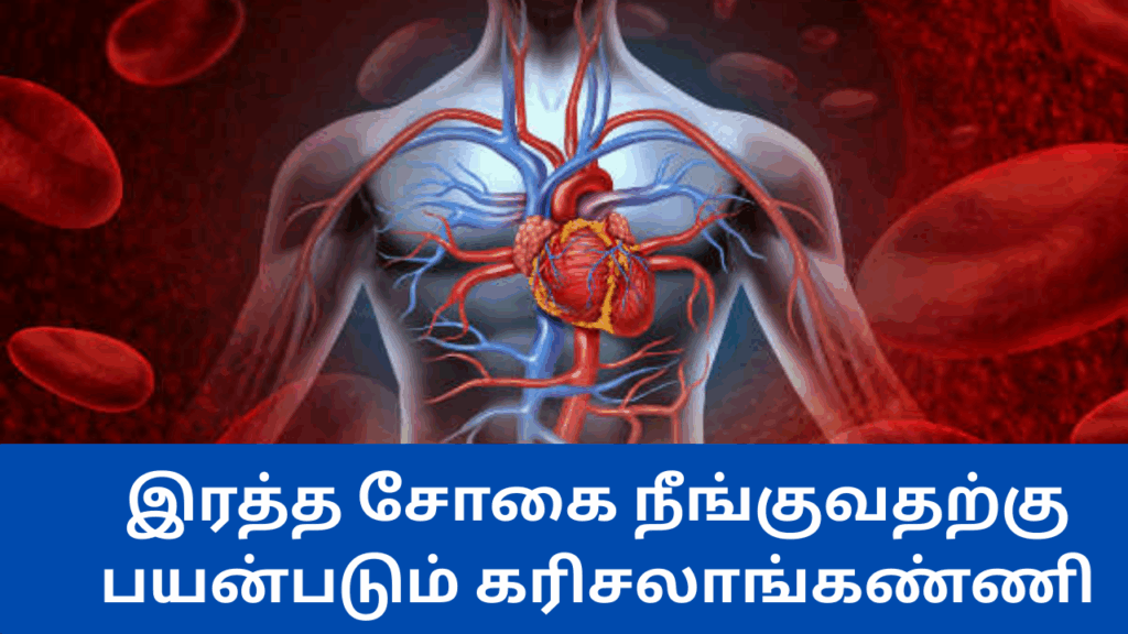 கரிசலாங்கண்ணி இலையின் பயன்கள் | Karisalankanni illaiyin benefits in tamil 2 3 4
