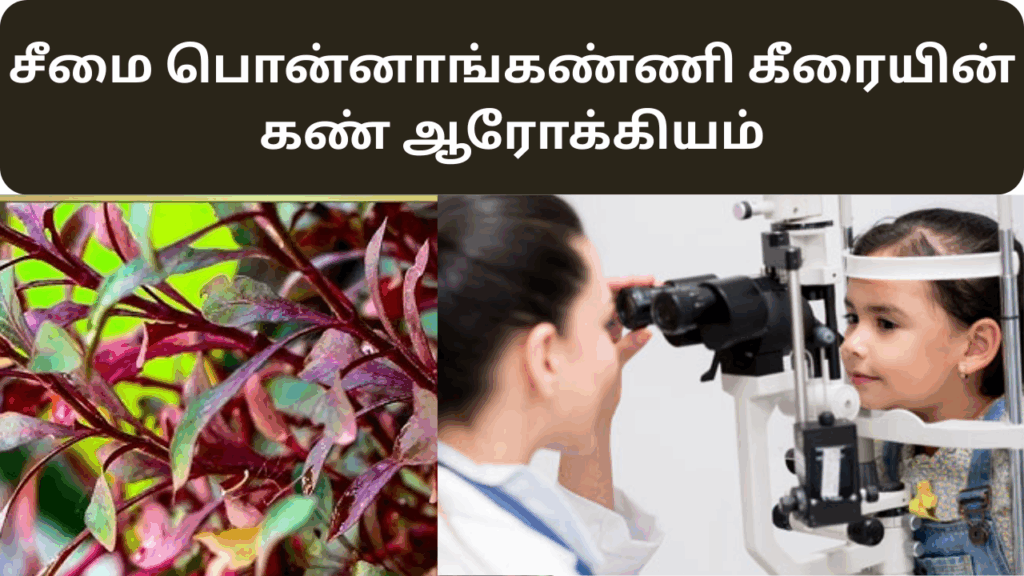 சீமை பொன்னாங்கண்ணி கீரையின் பயன்கள்|seemai ponnaganni keerai benefits in tamil 2 poonnakkani keeraiyin benefits in tamil