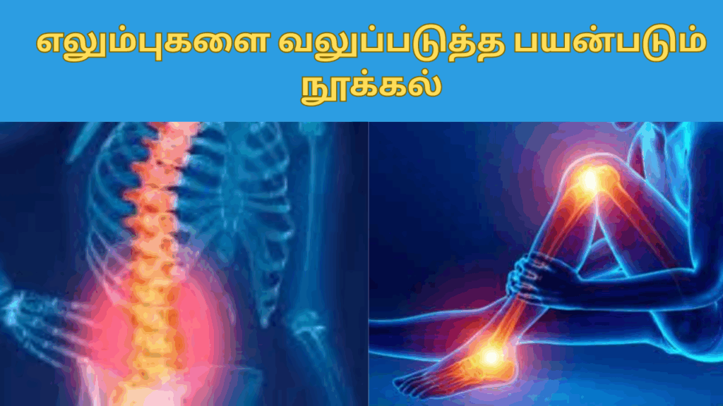 நூக்கல் பயன்கள் |Nookal benefits in tamil 2 31 3