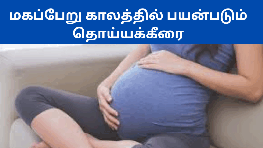 தொய்யா கீரையின் பயன்கள்|Thoiya keerai benefits in tamil 2 Thoiya keerai benefits in tamil