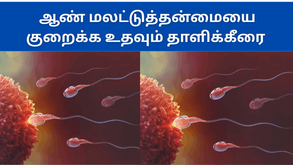 தாளிக் கீரையின் பயன்கள்|Thali keerai benefits in tamil 1 Thali keerai benefits in tamil