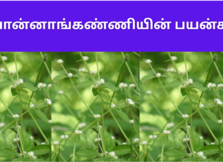 Vellai ponnanganni benefits in tamil