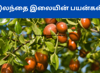 Illathai illai benefits in tamil