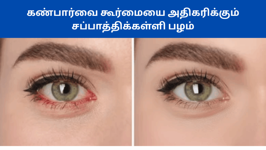 சப்பாத்திக்கள்ளி பழத்தின்பயன்கள்| Chapathi kalli fruit benefits in tamil 2 Chapathi kalli fruit benefits in tamil