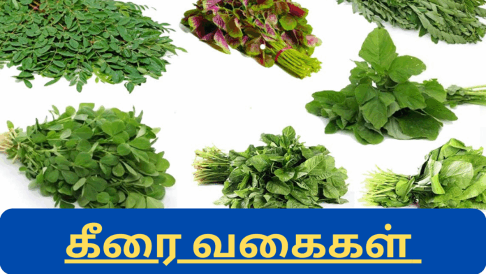 keerai vagaigal in tamil