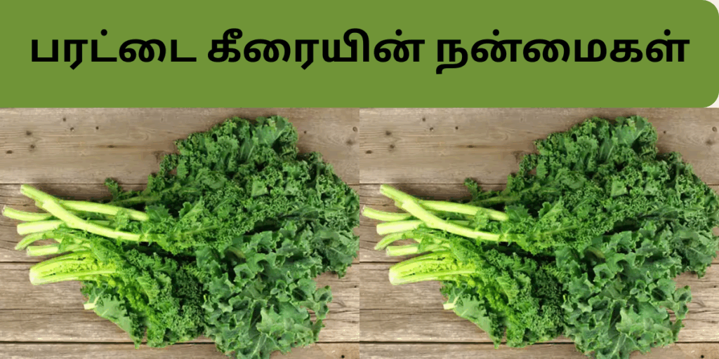 பரட்டை கீரையின் நன்மைகள்|parattai keeraiyin nanmaikkal in tamil 1 parattai
