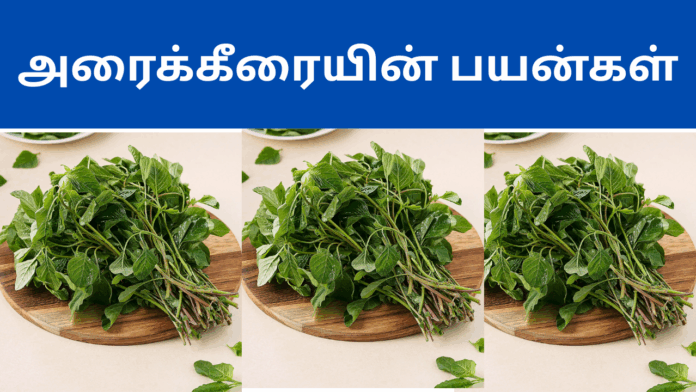 Arai keerai benefits in tamil